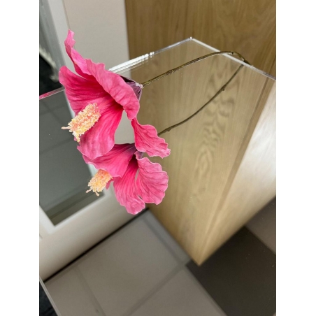 Mirrored plinth acrylic