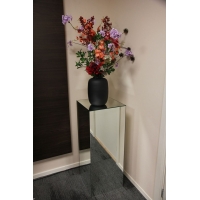 Mirrored plinth glass