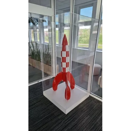 Acrylic Display Case