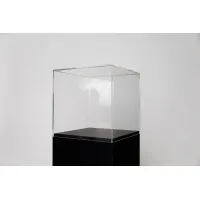 Acrylic Display Case