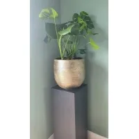 Black Oak Veneer Plinth