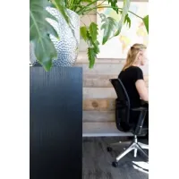 Black Oak Veneer Plinth