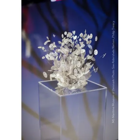 Acrylic Plinth