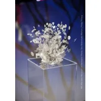 Acrylic Plinth