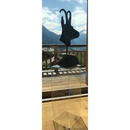 Acrylic Plinth