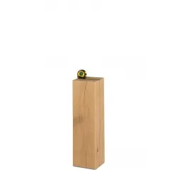 oak wood plinth sanded