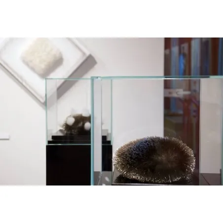 Glass Display Case