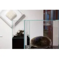 Glass Display Case