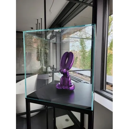 Glass Display Case