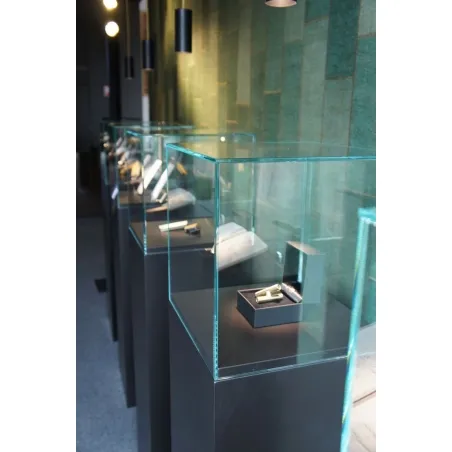 Glass Display Case