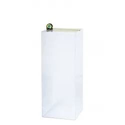 Acrylic Plinth