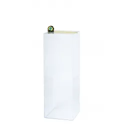 Acrylic Plinth