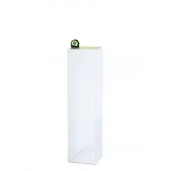 Acrylic Plinth